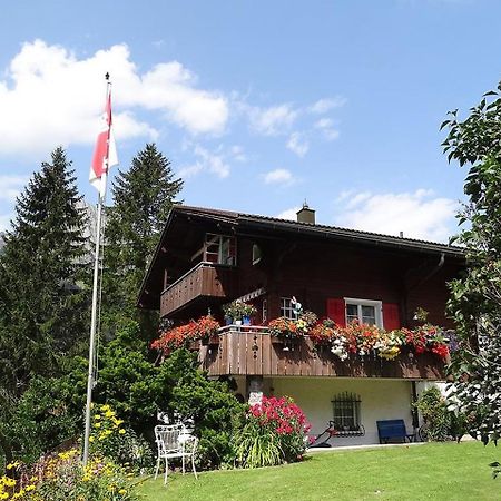 Apartment Chalet Spannortblick Engelberg Kültér fotó