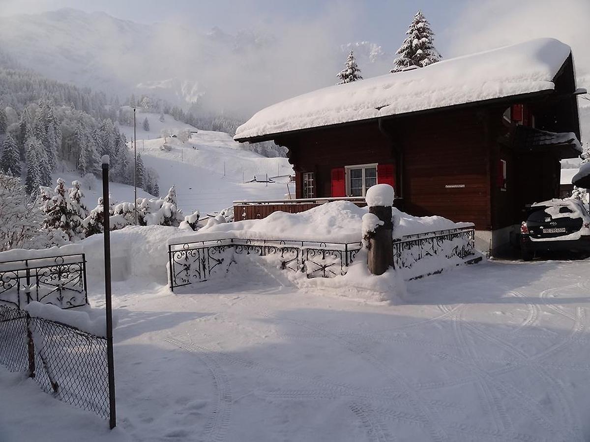 Apartment Chalet Spannortblick Engelberg Kültér fotó