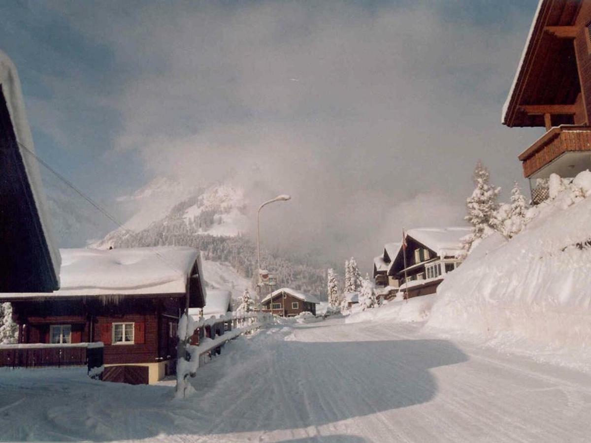 Apartment Chalet Spannortblick Engelberg Kültér fotó